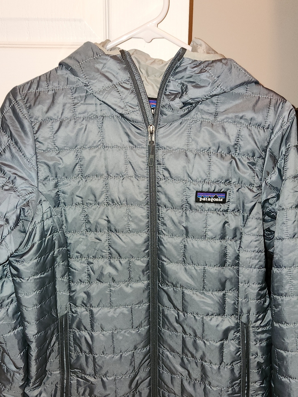 Patagonia Nanopuff hoody